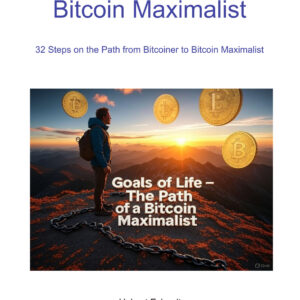 Maximalist 1 Scaled 300x300